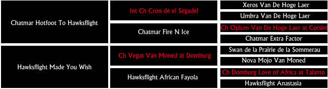 Chatmar Extra Factor Chatmar Hotfoot To Hawksflight Int Ch Cron de el Segadel Xeros Van De Hoge Laer Umbra Van De Hoge Laer Chatmar Fire N Ice  Ch Opium Van De Hoge Laer at Corsini Hawksflight Made You Wish    Ch Vegas Van Moned at Domburg Swan de la Prairie de la Sommerau  Nova Mojo Van Moned Hawksflight African Fayola  Ch Domburg Love of Africa at Talamo Hawksflight Anastasia