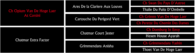 Ch Perette Du Chemin Des Dames Ch Opium Van De Hoge Laer At Corsini Ares De la Clariere Aux Louves Ch Swan Du Pays D'Astree Thalie Du Puits D'Ombelle Cartouche Du Perigord Vert  Ch Grimm Van De Hoge Laer Chatmar Extra Factor   Chatmar Court Jester Ch Domburg In Envy  Hexen House Ayarah Grimmendans Anisha  Ch Grimmendans Yashin Thoet Van De Hoge Laer