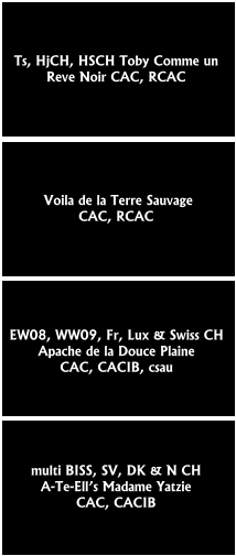 Ts, HjCH, HSCH Toby Comme un  Reve Noir CAC, RCAC  Voila de la Terre Sauvage  CAC, RCAC multi BISS, SV, DK & N CH  A-Te-Ell’s Madame Yatzie  CAC, CACIB   EW08, WW09, Fr, Lux & Swiss CH  Apache de la Douce Plaine  CAC, CACIB, csau