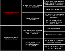 UK CH Jeu de Vie de la Terre  Sauvage at Niavana CC  One Moment in Time av  Vikholmen at Niavana  Ts, HjCH, HSCH Toby Comme un  Reve Noir CAC, RCAC  Voila de la Terre Sauvage  CAC, RCAC multi BISS, SV, DK & N CH  A-Te-Ell’s Madame Yatzie  CAC, CACIB   EW08, WW09, Fr, Lux & Swiss CH  Apache de la Douce Plaine  CAC, CACIB, csau Hun jCH, Hun CH Paris de la  Terre Sauvage CAC, CACIB,  RCAC, RCACIB  sr, BISS, EjW99, EW00, PW00, Hu  jCH, DK, N & PL CH Greco Comme un Reve Noir RCACIB, csau, tan Ts Buffy du Pre du Vieux Pont  sr04, pE, Fr, IT & NL CH Tuono-G  dell’Alta Via CAL2, BTr, cant, csau,  tan champ ex+ Oural de la Douce Plaine  Philosophie de la Douce Plaine  sr07, pE, Int & NL CH Brendo de  Bruine Buck CACIB, tan BISS, SV A-Te-Ell’s Madame Sibelle  AG2, JC3, CACIB, MH