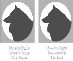 Hawksflight Somebody To Luv Hawksflight Don’t Stop Me Now