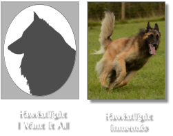 Hawksflight Innuendo Hawksflight I Want It All