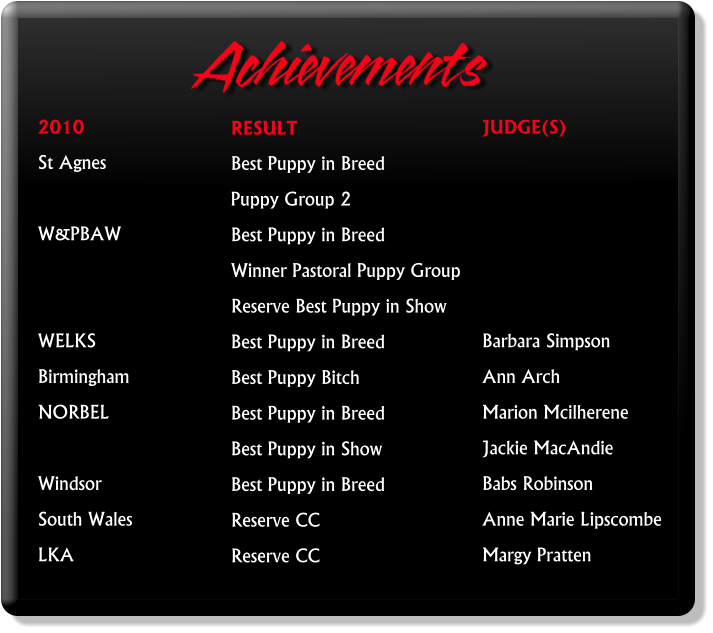 RESULT Best Puppy in Breed Puppy Group 2 Best Puppy in Breed Winner Pastoral Puppy Group Reserve Best Puppy in Show Best Puppy in Breed Best Puppy Bitch Best Puppy in Breed Best Puppy in Show Best Puppy in Breed Reserve CC Reserve CC   2010 St Agnes   W&PBAW    WELKS  Birmingham  NORBEL  Windsor South Wales  LKA JUDGE(S)      Barbara Simpson Ann Arch Marion Mcilherene Jackie MacAndie Babs Robinson Anne Marie Lipscombe Margy Pratten